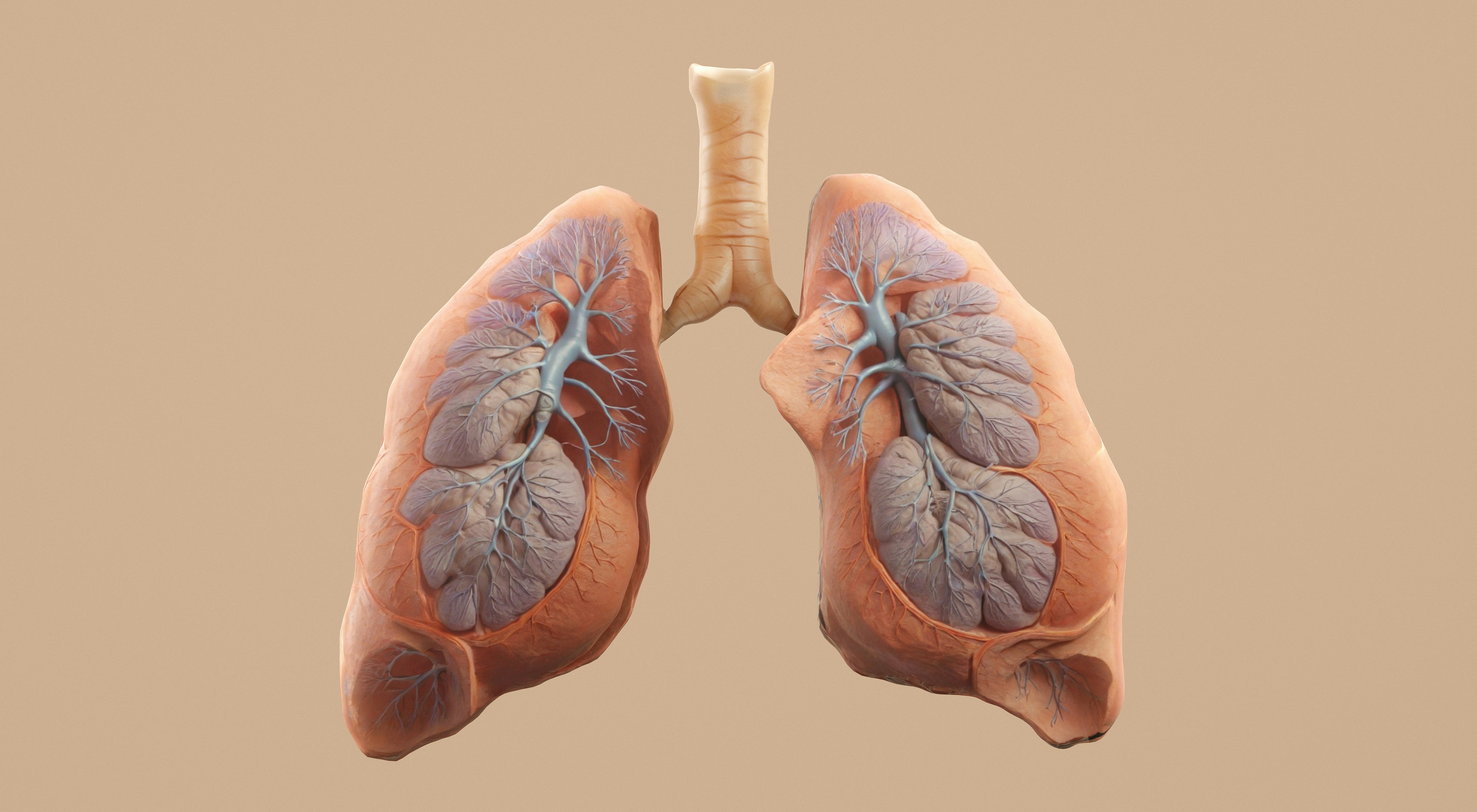 Respiratory Assessment